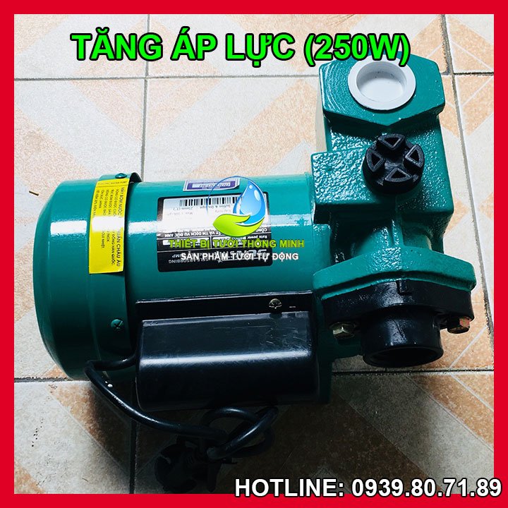 Máy bơm tưới cây 50L/H phút (công nghệ nhật, B/H 12T)