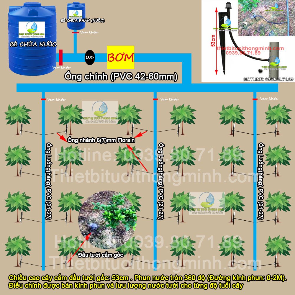 Hệ thống tưới cây ăn trái