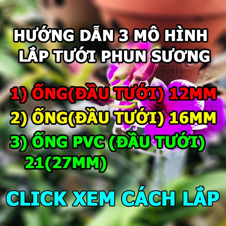 Hệ thống phun sương tưới lan tự động (sân thượng, ban công, sân vườn, nhà kính)