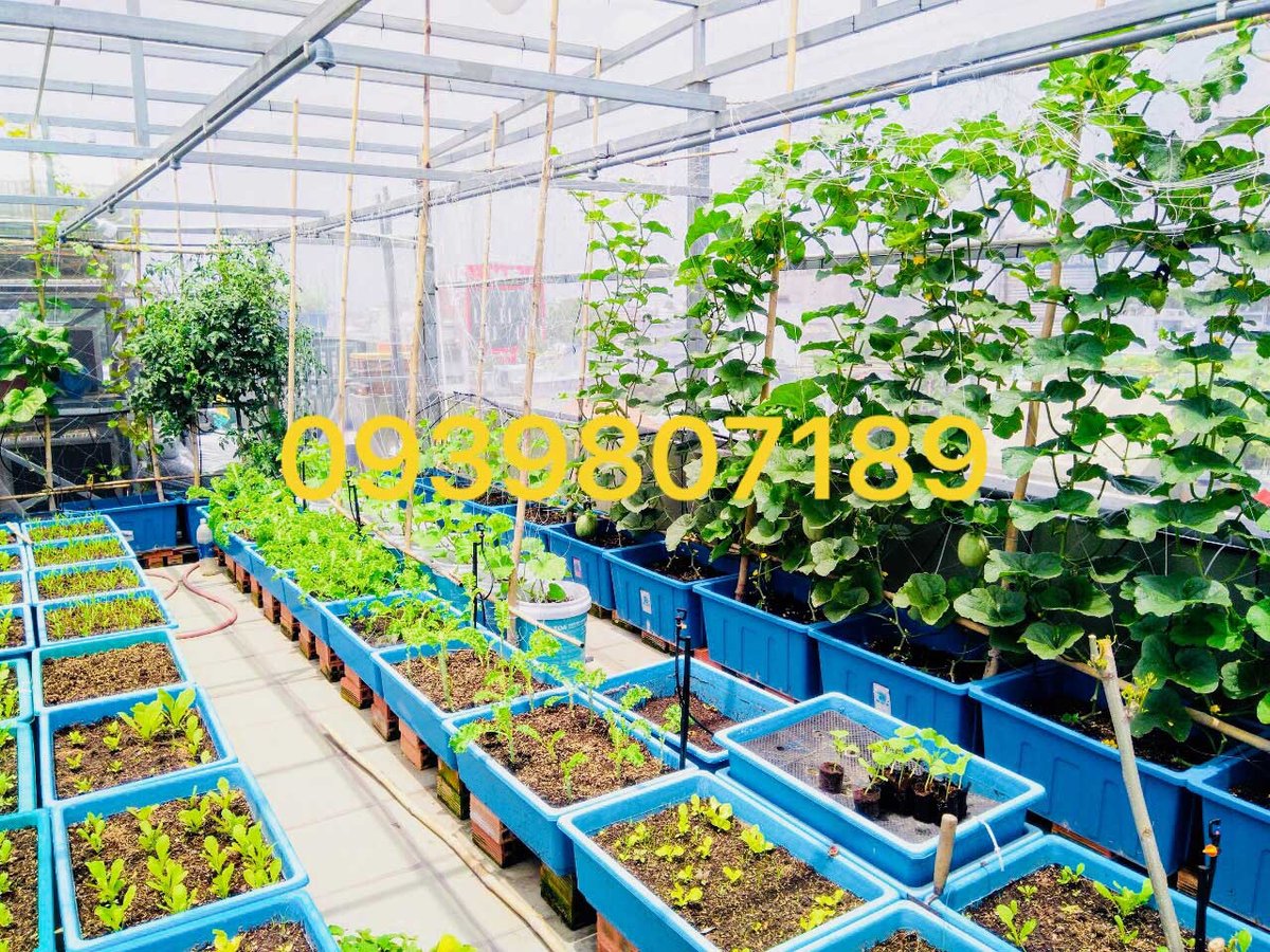 Hệ thống tưới rau tự động cây cảnh, ăn trái, hoa phong lan trên sân thượng ban công nhà phố chung cư
