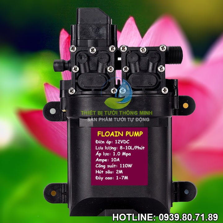 Máy bơm đôi 12v mini tăng áp siêu áp lực Florain 110W (8-10L/min)