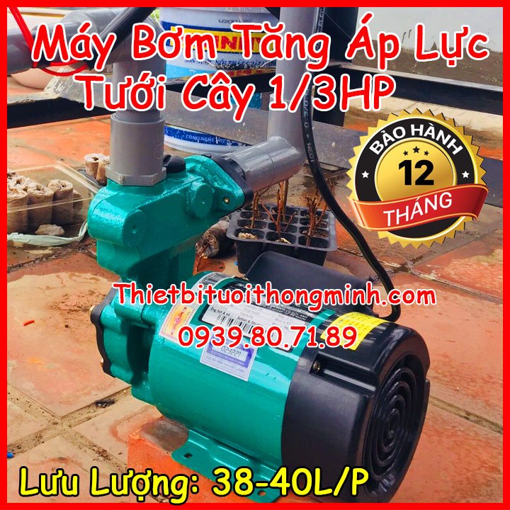 Máy bơm tăng áp đẩy cao tưới cây 220VAC (35L-40/Phút)(B/H 12T)(Bơm tưới cây)