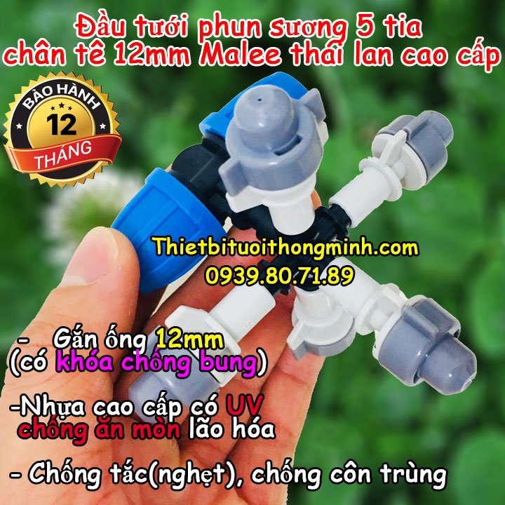Đầu tưới phun sương 5 hướng chân tê 12mm Malee thái lan cao cấp (chống nghẹt, côn trùng, khóa chống bung)