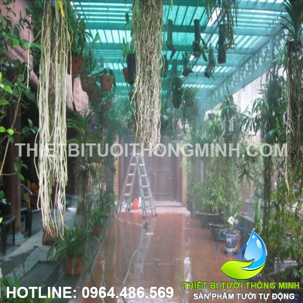 Nhân viên lắp tưới phun sương, mưa thả giàn tưới hoa lan nhà bé An