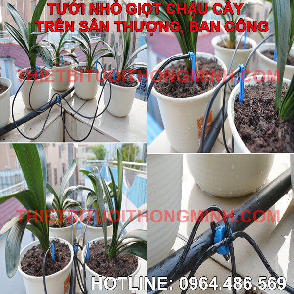 Bộ đầu nhỏ giọt bù áp kèm 4 dây que tưới vào gốc (nhập khẩu loại tốt)