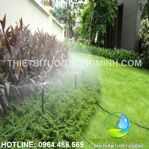 Tưới bãi cỏ biệt thự quận 7 nhà cô chú Hùng Hương
