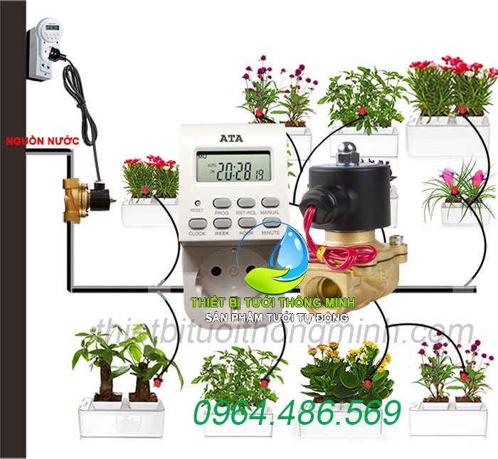 Hệ thống tưới nhỏ giọt là gì?