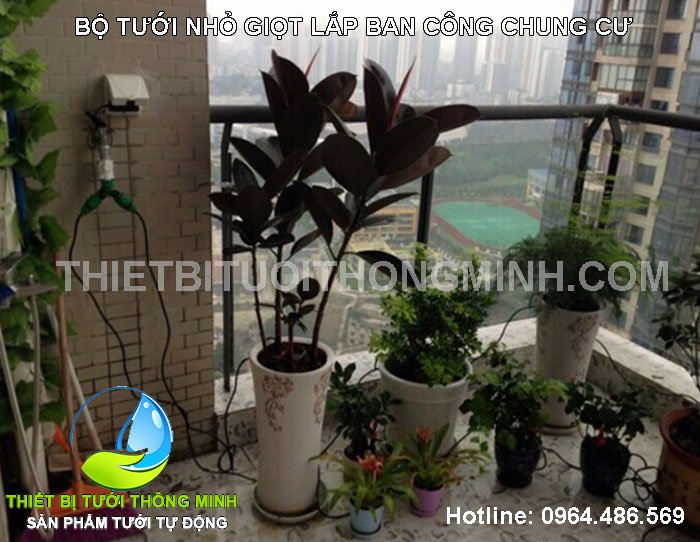 Lắp đặt tưới nhỏ giọt ban công chung cư nhà A.hùng quận 9