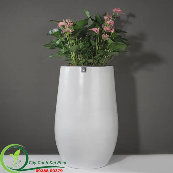 Chậu Composite Tròn Bầu – Đẳng Cấp Khác Biệt 3