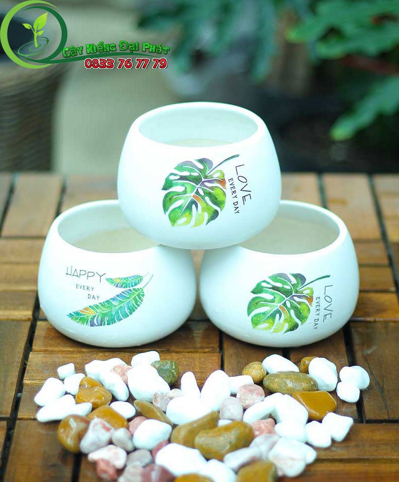 Chậu Gốm Sứ Tròn Bầu Có hình Vẽ