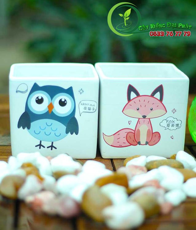 Chậu Sứ Vuông Để Bàn Có Hình Vẽ