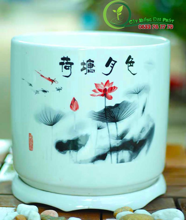 Chậu Gốm Để Bàn Size Lớn