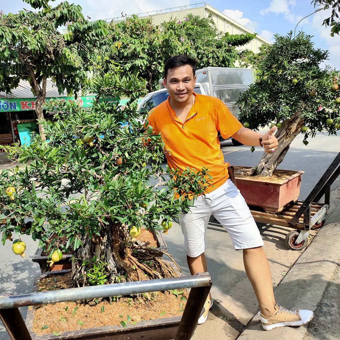 Cây Bonsai Đủ Loại – Tuyển Chọn Cây Cảnh Bonsai Đẹp, Giá Tốt Tại Nhà Vườn Khánh Võ