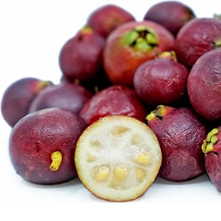 Cây Ổi Sim Nhật 3