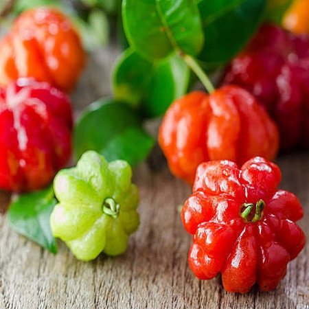 Cây Surinam Cherry – Loại Cherry Nhiệt Đới Tuyệt Vời Cho Sân Vườn Việt 3