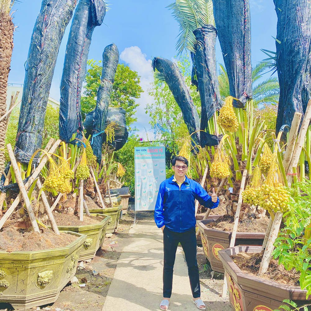 Cây Chà Trung Đông