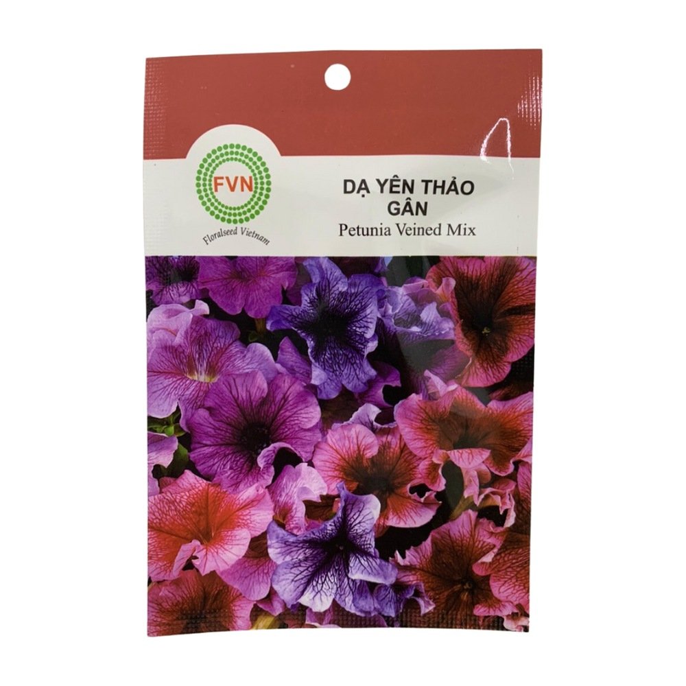 Hạt Giống Hoa Dạ Yên Thảo GÂN 15 HẠT (Tỉ lệ Nảy Mầm Cao)