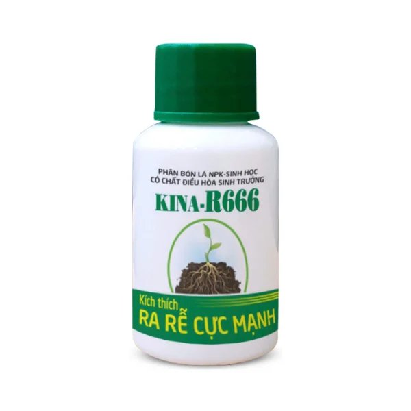 R666 – Chai 25ml – KIÊN NAM – Phân bón ra rễ
