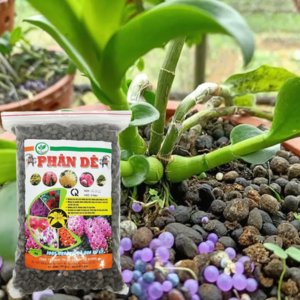 Phân dê Hải An Khang (1kg), Phân Bón Lan, Phân Hữu Cơ Tốt Cho Mọi Cây Trồng 2