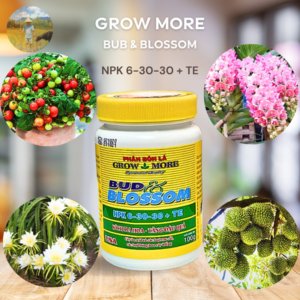 Phân bón lá Growmore Bud Blossom 6-30-30+TE 2
