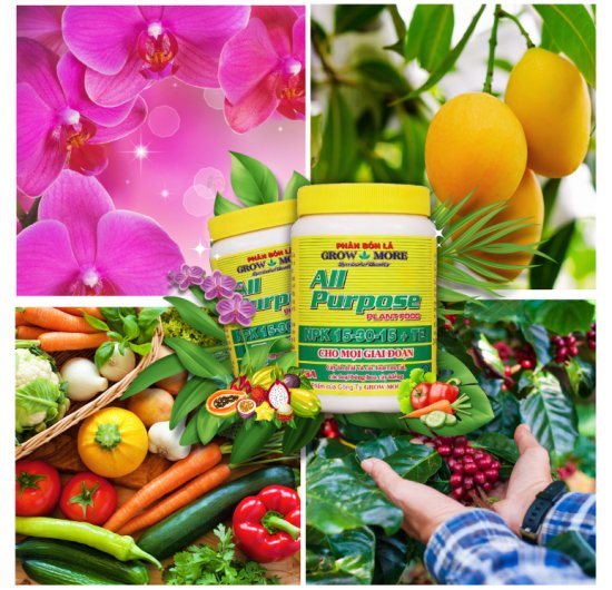 Phân bón lá Growmore All Purpose 15-30-15+TE 2