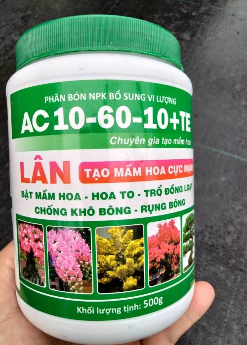 Phân bón lá AC 10-60-10 + TE chuyên gia tạo mầm hoa 3