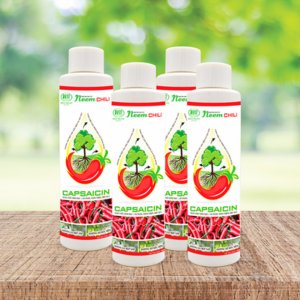 Neem Chili – Chai 150ml/500ml – Chất bám dính sinh học trừ sâu rầy bọ trĩ (24chai/thùng) 2