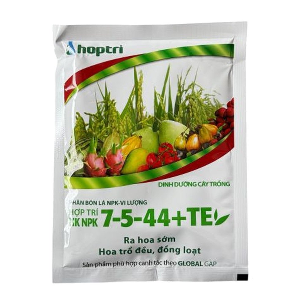 Hợp trí HK 7-5-44 + TE – 250gr