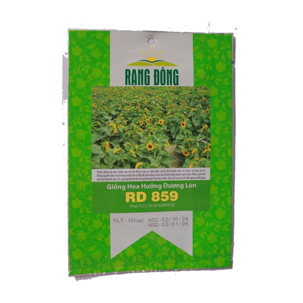 Hạt giống hoa hướng dương lùn Rạng Đông RD859 – Gói 10 hạt