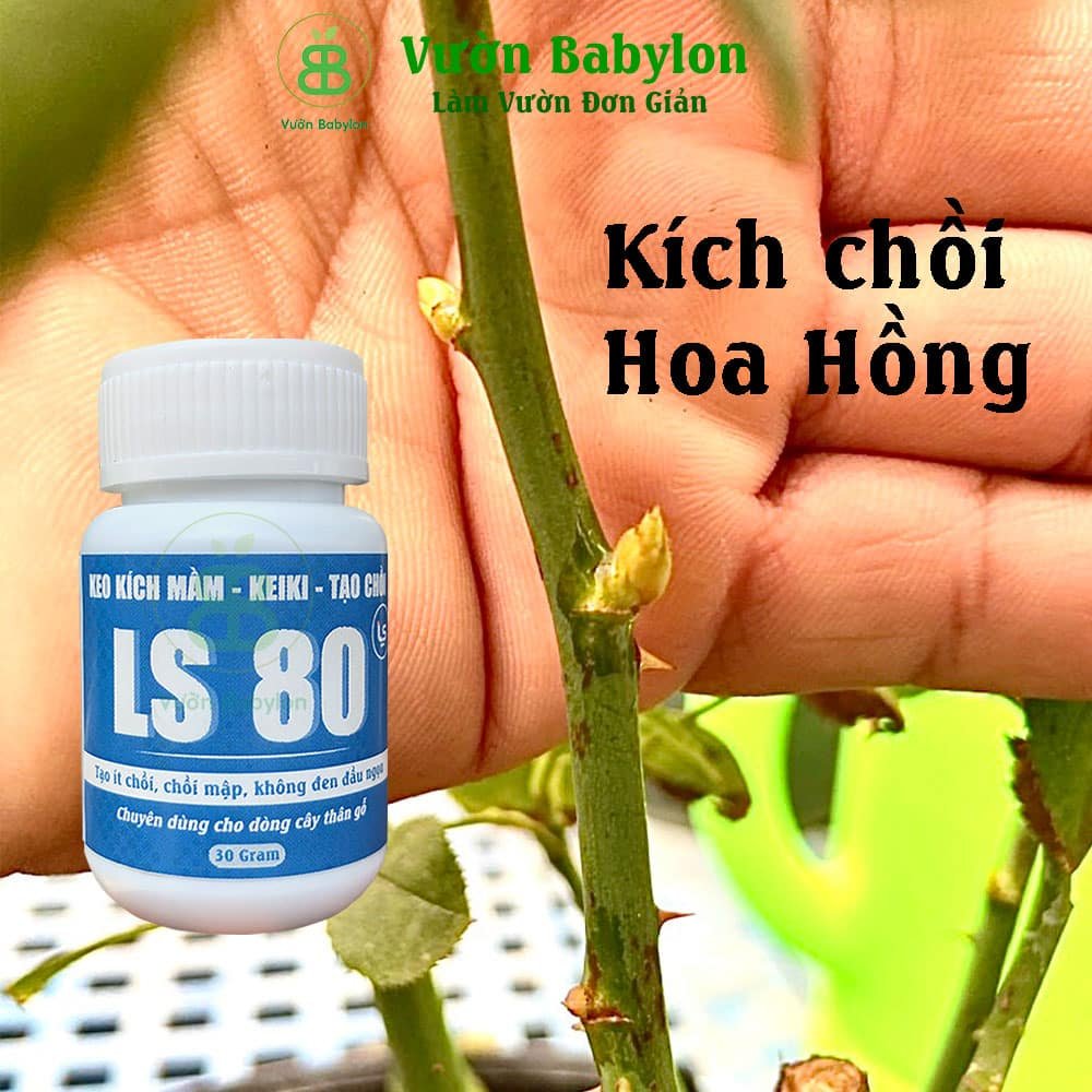Keo LS80 Kích Mầm, Kích Chồi (Lọ 30gram) 3