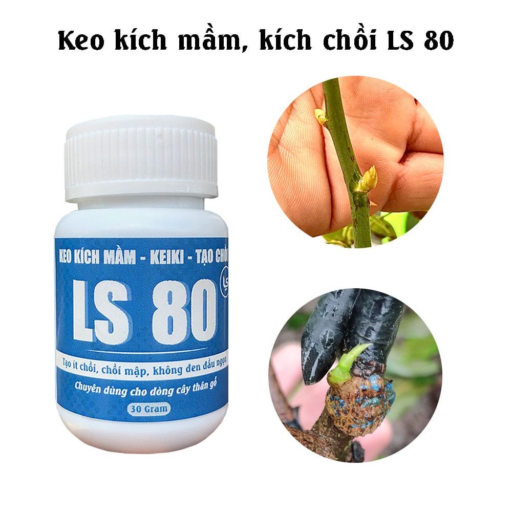 Keo LS80 Kích Mầm, Kích Chồi (Lọ 30gram) 2