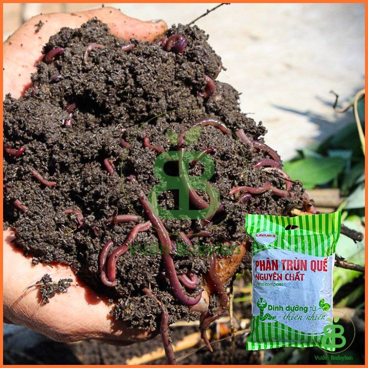 Phân trùn quế LAVAMIX Nguyên Chất 100% – Bổ sung dinh dưỡng, cải tạo đất cho rau màu, hoa kiểng 3