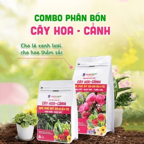 Phân Bón NPK Phú Mỹ Cho Hoa Kiểng Từ Cây Con – Trưởng Thành