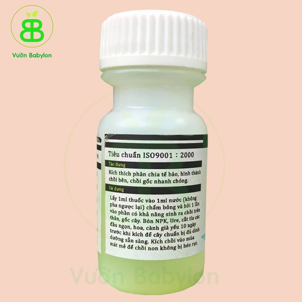Siêu Kích Mầm T90 (T-90) – Enzyme kích mầm hoa hồng, hoa lan cực mạnh 3