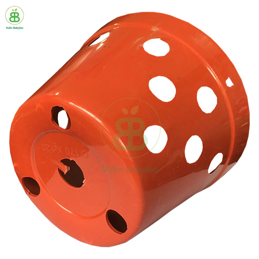 Chậu nhựa trồng lan dạng lỗ tròn 3