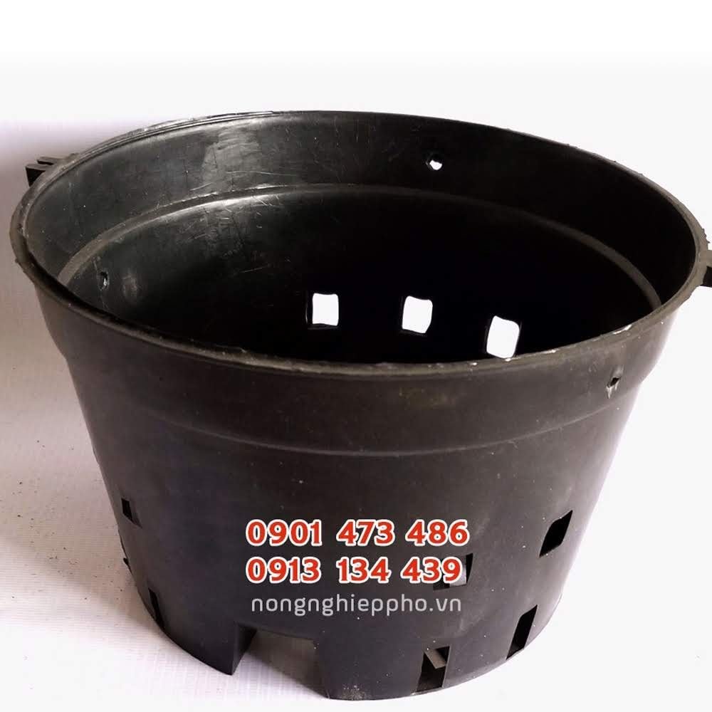 Chậu nhựa trồng lan đen nhiều size 3