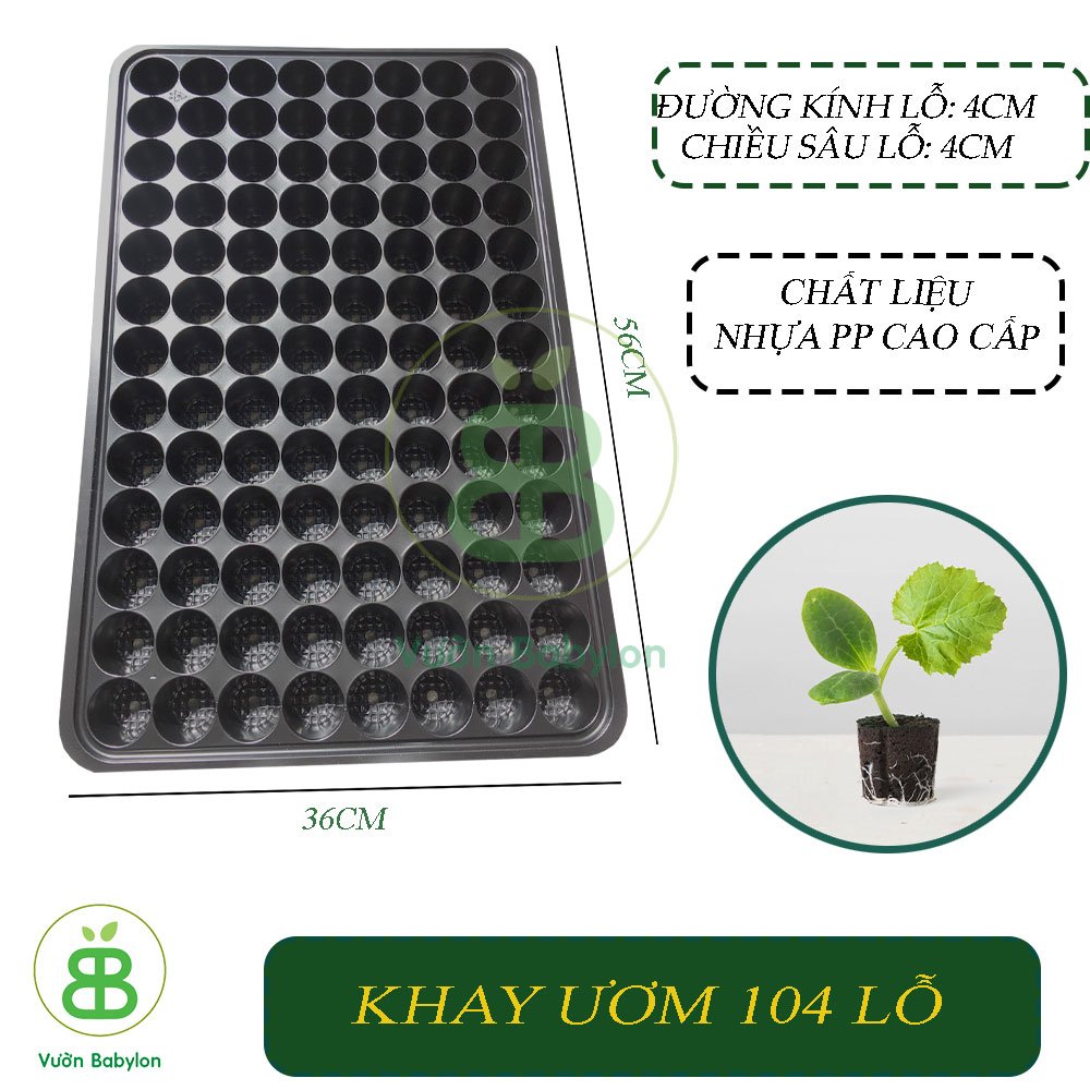 khay ươm hạt giống (vỉ ươm hạt giống) 104 lỗ 2