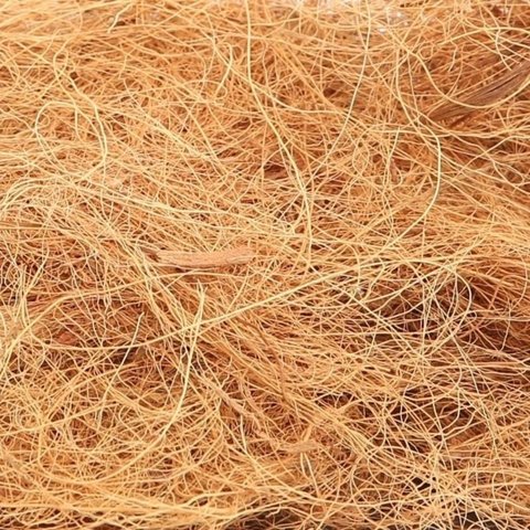 Giá thể chỉ dừa trồng lan – Túi 5dm 2