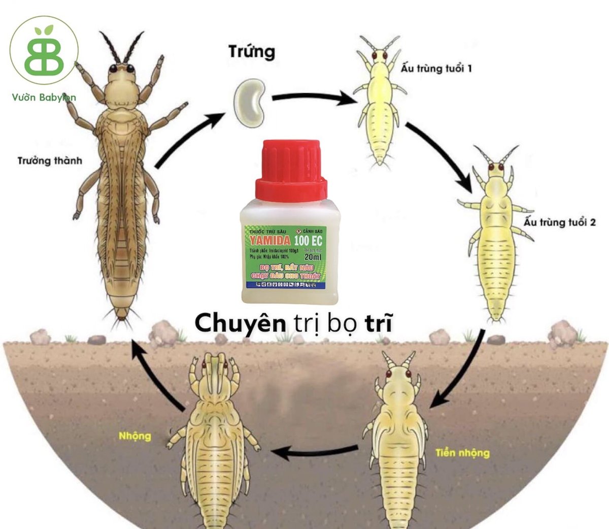 Thuốc Trừ Sâu YAMIDA Chuyên Trị Bọ Trĩ Và Rầy Nâu (Sao chép) 2