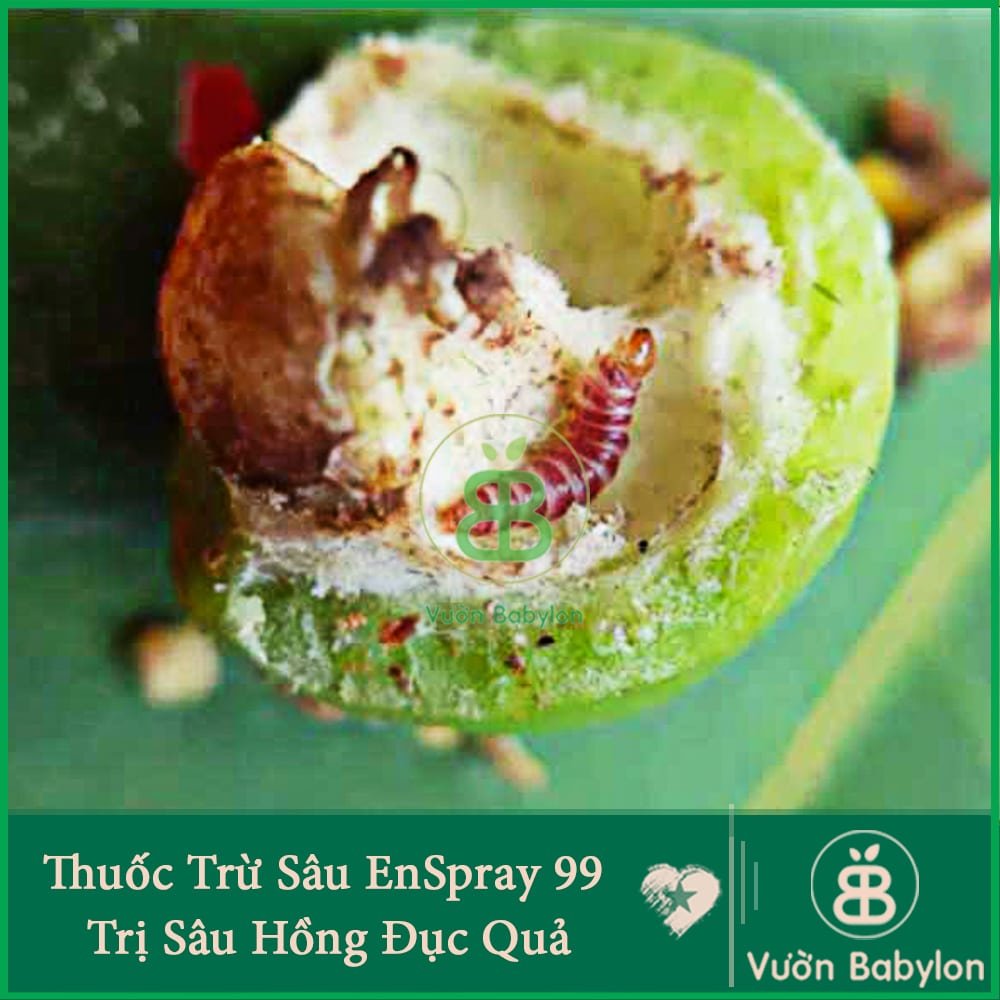 Dầu Khoáng SK EnSpray 99EC Đặc Trị Nhện Đỏ 3