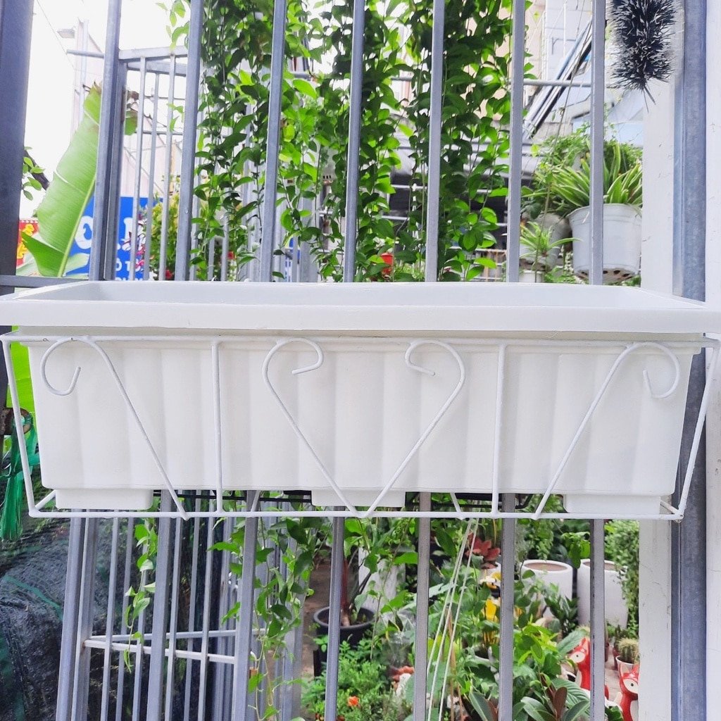 Khung Sắt (Chậu) Treo Lan Can, Ban Công Trồng Hoa, Rau 20x60cm