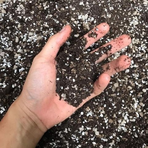 Giá thể Soil mix trồng cây xương rồng, sen đá trộn sẵn – Túi 6,5dm3 ( ~ 2,5kg ) 2