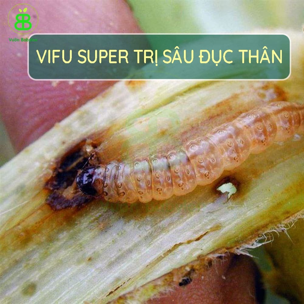 Vifu Super 5Gr Trừ Sùng Đất, Sâu Đục Thân Và Tuyến Trùng Gói 1Kg 3
