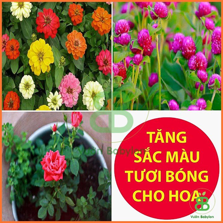 Phân Bón Siêu KaLi (Kali đỏ) – 1KG 2