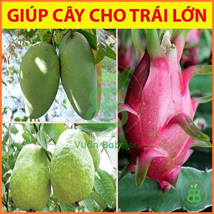 Phân Bón Siêu KaLi (Kali đỏ) – 1KG 3