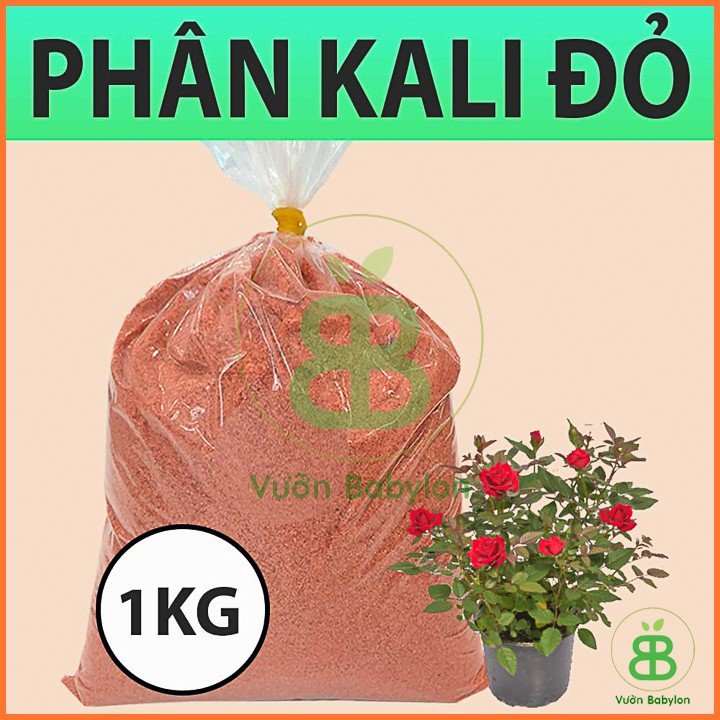 Phân Bón Siêu KaLi (Kali đỏ) – 1KG