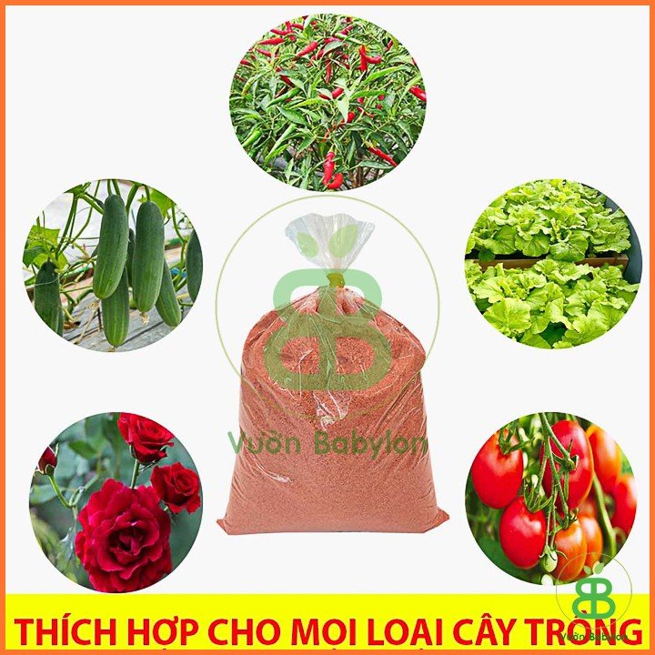 Phân Bón Siêu Kali ( Kali đỏ) – 500G 2
