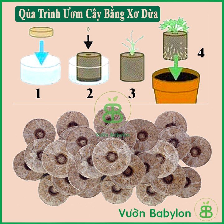 Viên Nén Xơ Dừa Chuyên Dùng Cho Ươm Hạt Giống, Giá Thể Trồng Thủy Canh 3