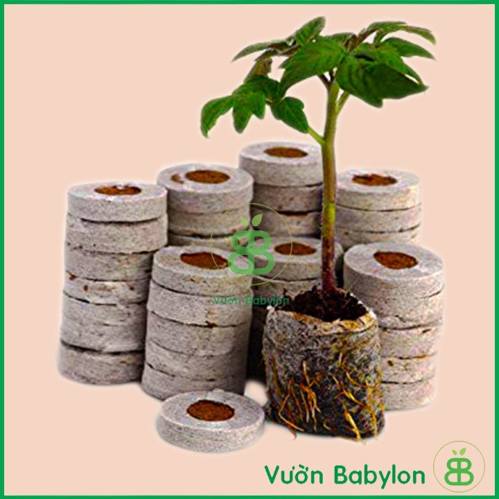 Viên Nén Xơ Dừa Chuyên Dùng Cho Ươm Hạt Giống, Giá Thể Trồng Thủy Canh 2