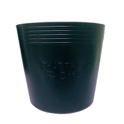 Chậu Nhựa C10 Chuyên Dùng Cho Ươm Cây Con